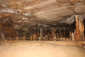 Stalagmiten Buchan Caves