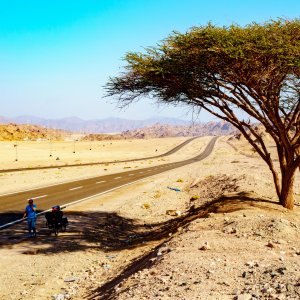 Mit Fahrrad durch die Wüste von Ägypten - man findet kaum ein schattiges Plätzchen