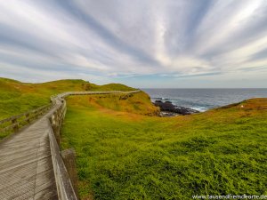 Ausblick aufs Meer Phillip Island