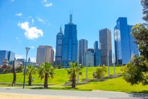 Palmen am Yarra River