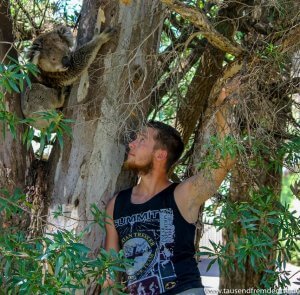 Portrait Ricardo und Koala auf Raymond Island