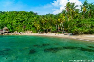 weißer Sandstrand und grüne Palmen Sai Nuan Beach