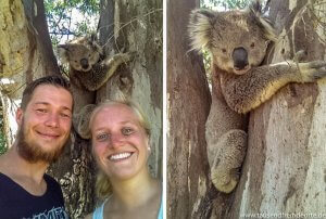 Selfie mit Koala auf Raymond Island