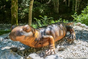 Holzstatue eines Salamanders in der Almbachklamm