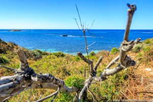 Rottnest Island bietet viele traumhafte Ausblicke auf das Meer