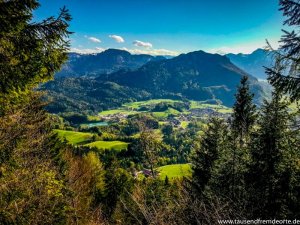 Blick aus dem Wald auf die Chiemgauer Alpen