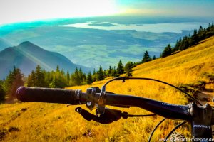 Singletrail mit dem Mountainbike am Hochgern