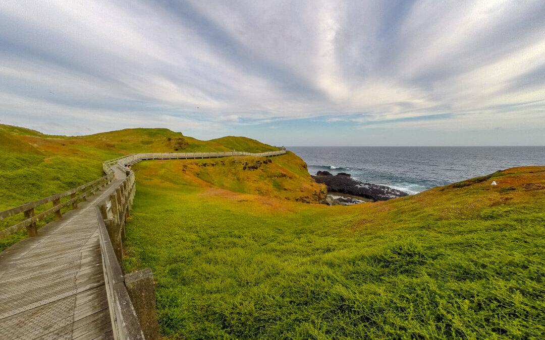 Beitragsbild für Phillip Island Australien